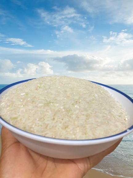 ข้าวหอมมะลิน้ำทิพย์