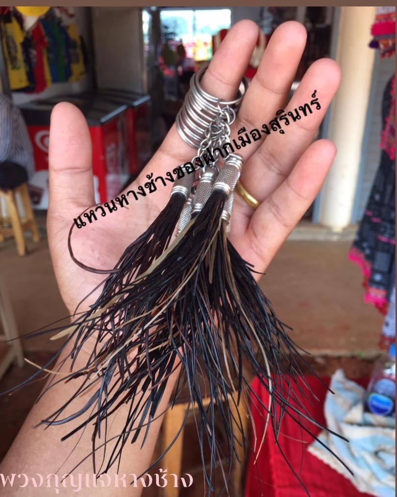 วินัยพาณิชย์