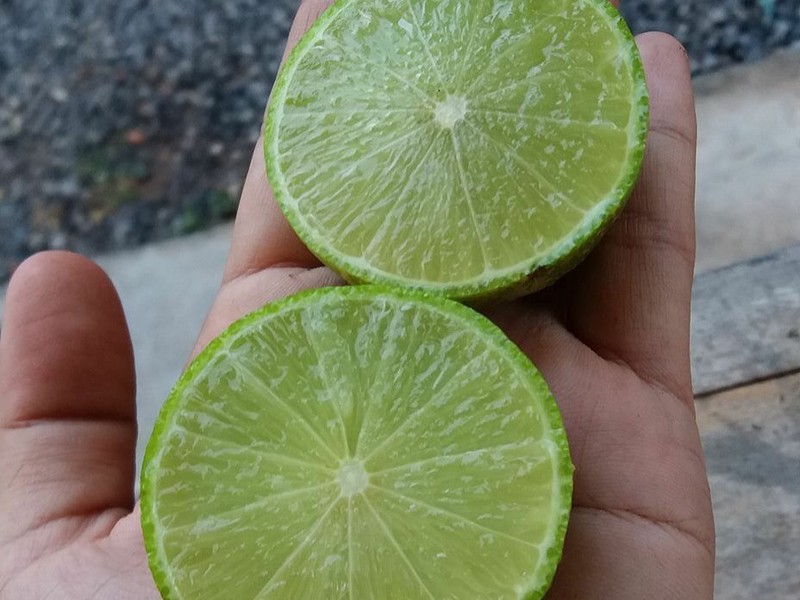 มะนาวแป้น