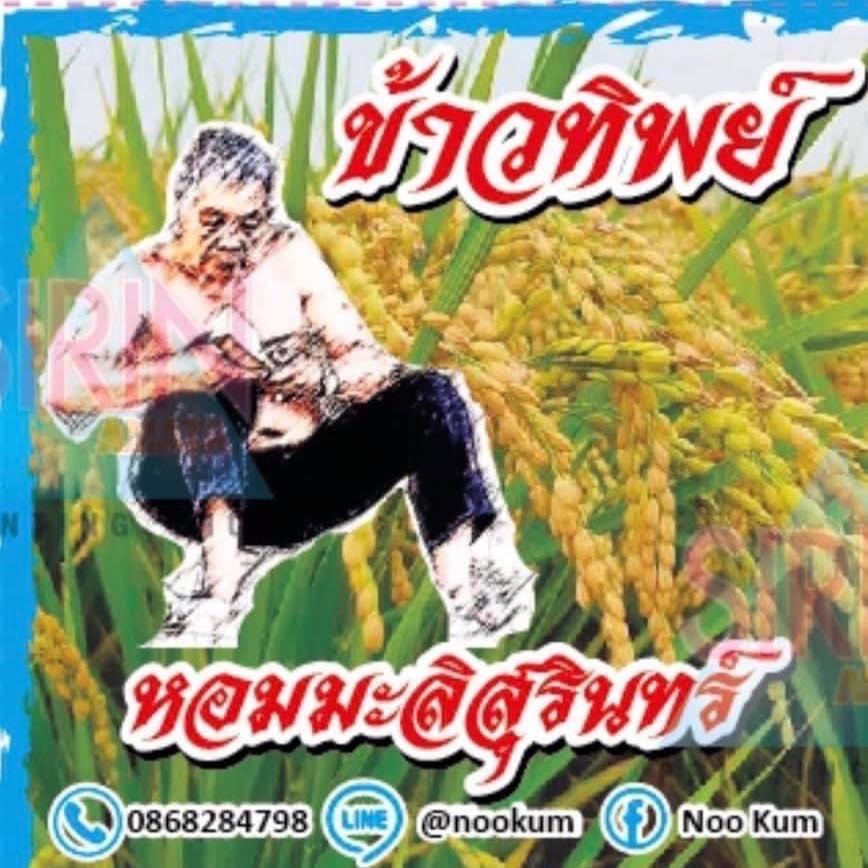 ข้าวทิพย์