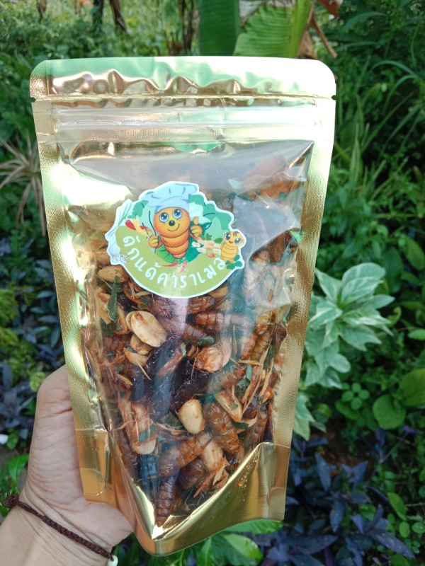 ดักแด้คาราเมล