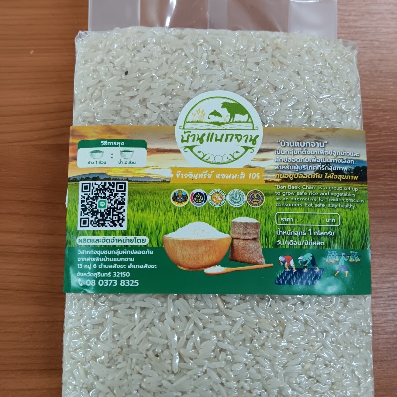 ข้าวหอมมะลิ