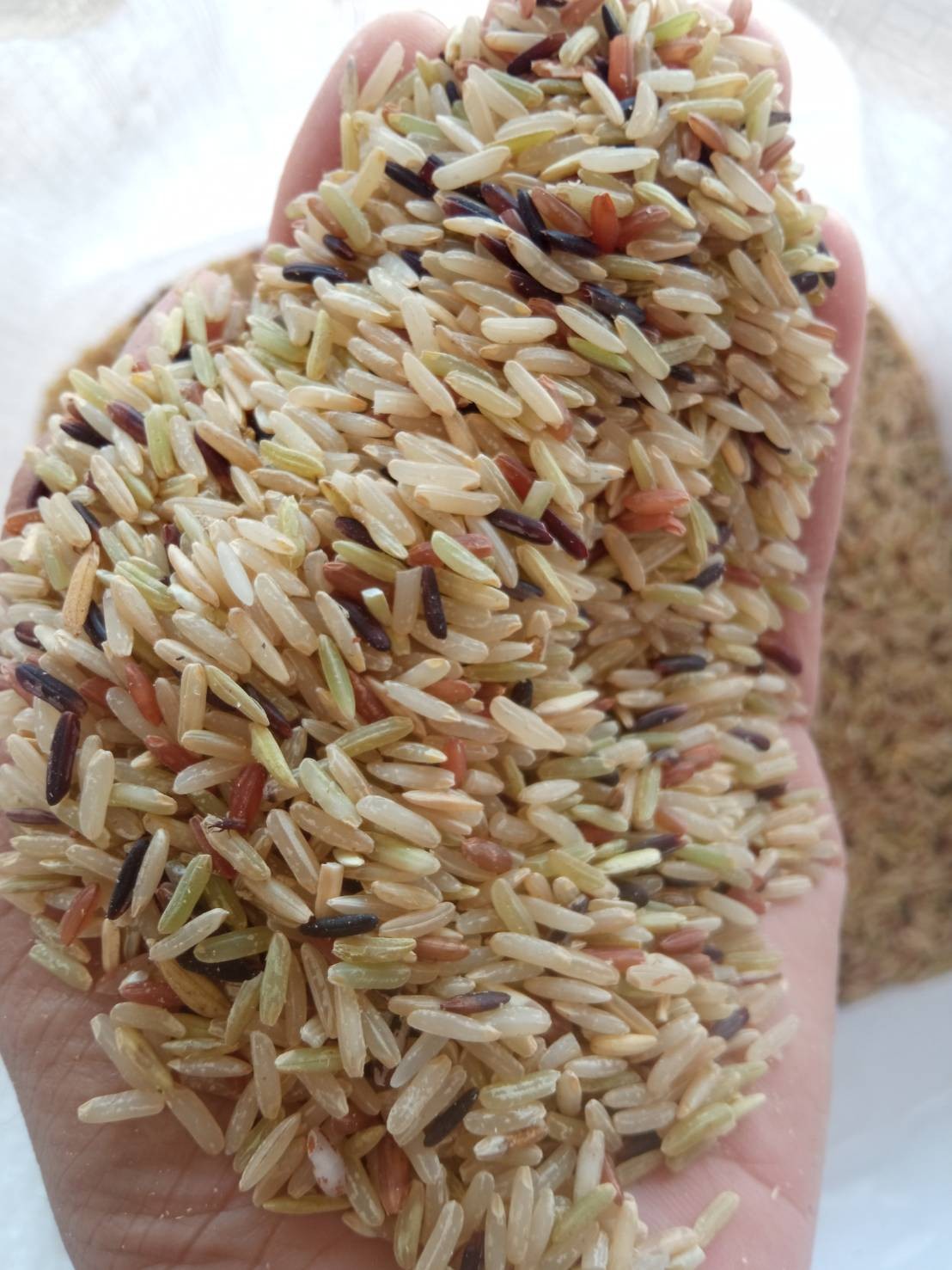 ข้าวกล้อง 3 สี  ขนาด 5  ก.ก