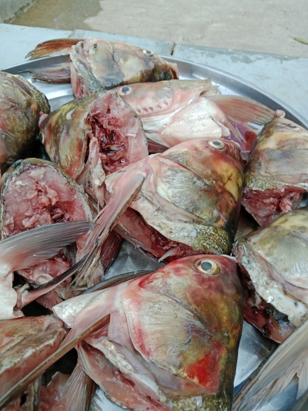 ปรีญาภรณ์ปลาส้ม