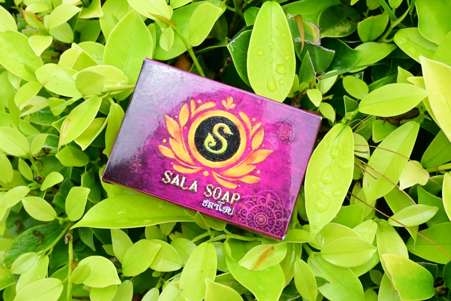 สบู่หมาก Sala Soap
