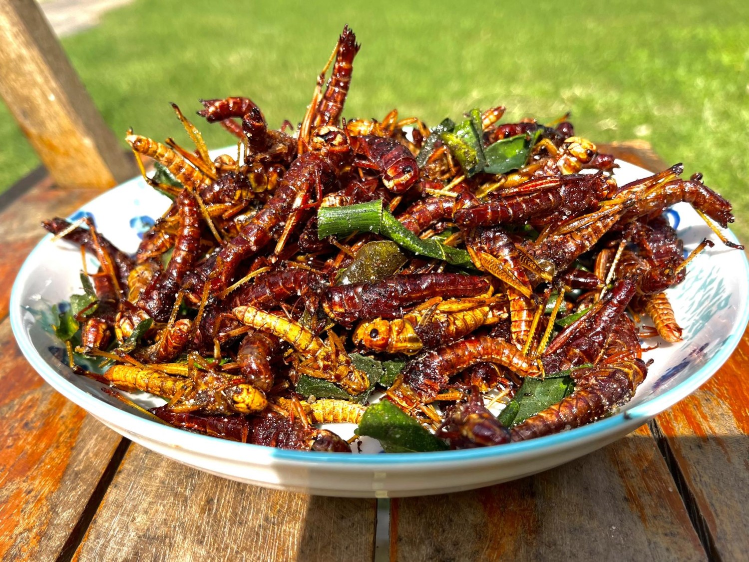 ตั๊กแตนทอดสมุนไพร