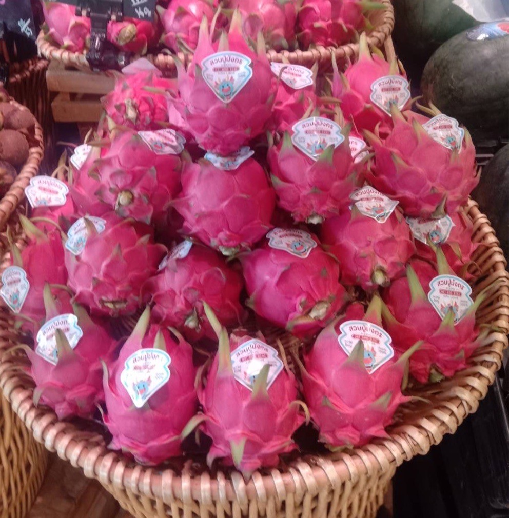 แก้วมังกร (เนื้อสีขาว)