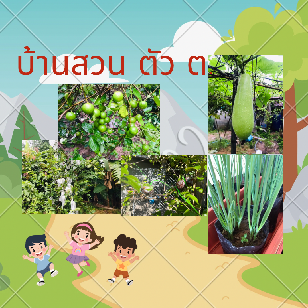 บ้านสวนตัว ต.