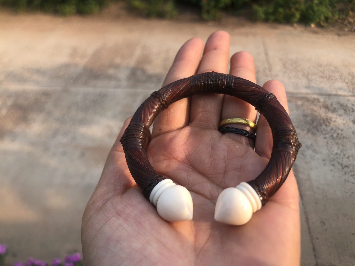 กำไลหางช้าง