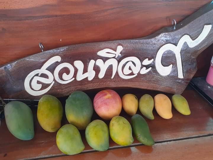 สวนทีละ9