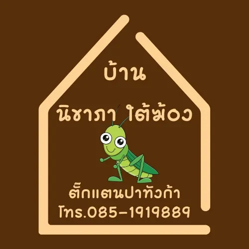 บ้านนิชาภา ตั๊กแตนปาทังก้า