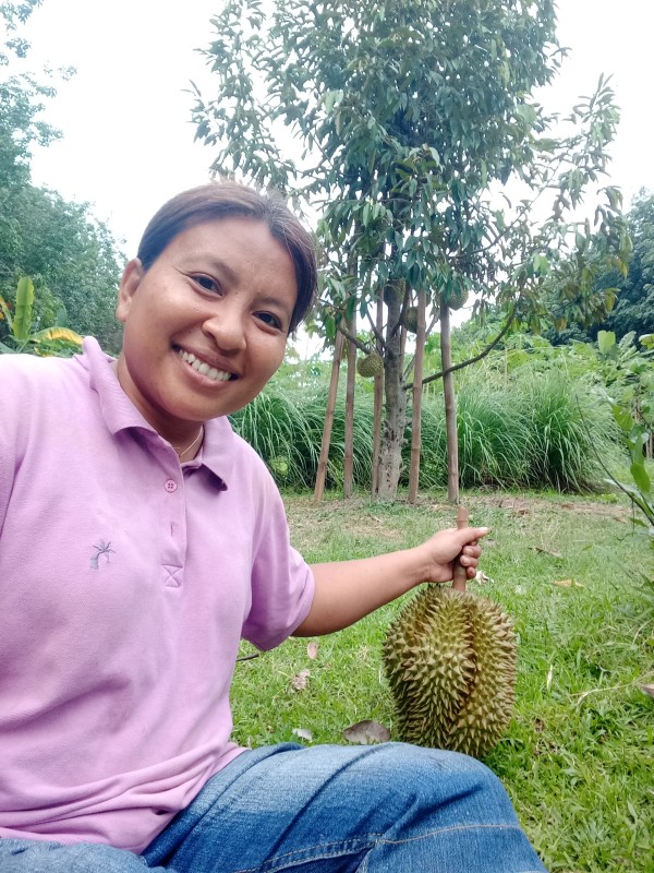 ทุเรียนหมอนทอง