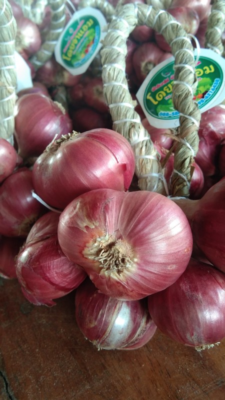 หอมแดงอินทรีย์