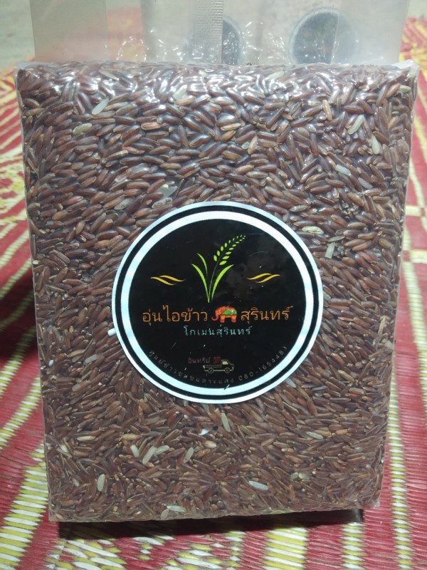 ข้าวมะลิแดง