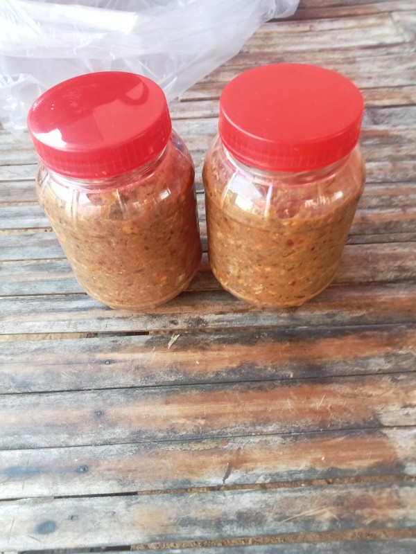 ปลาแดกบอง