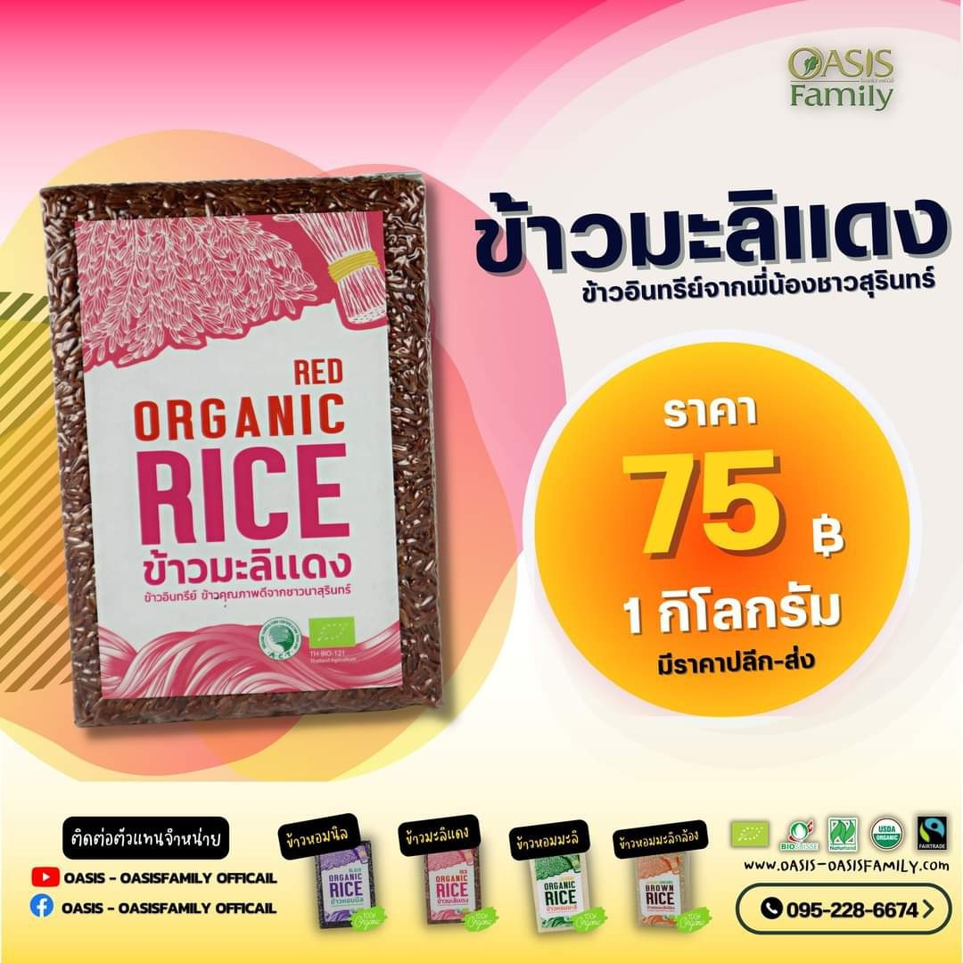 ข้าวหอมมะลิกล้องอินทรีย์