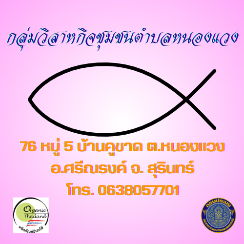 กลุ่มวิสาหกิจชุมชนตำบลหนองแวง อำเภอศรีณรงค์