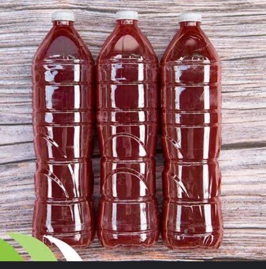 จุลินทรีย์สังเคราะห์แสง