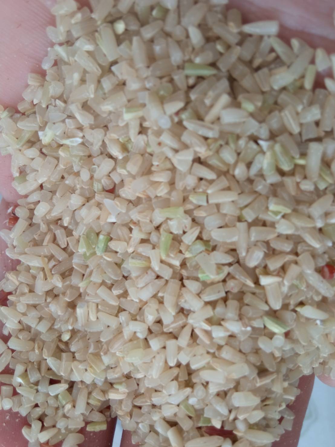 จมูกข้าวกล้อง ออแกนิก