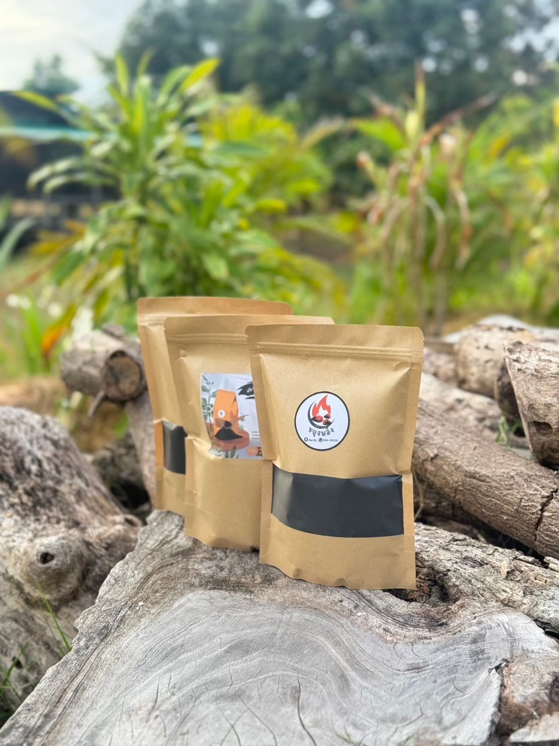 ผงถ่านสำหรับปรับปรุงดิน