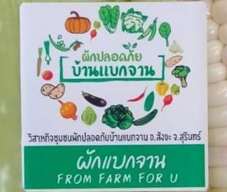 สวนผักตานง