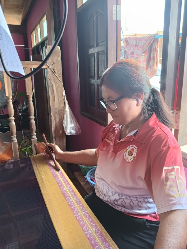 แม่ตูนผ้าไหม