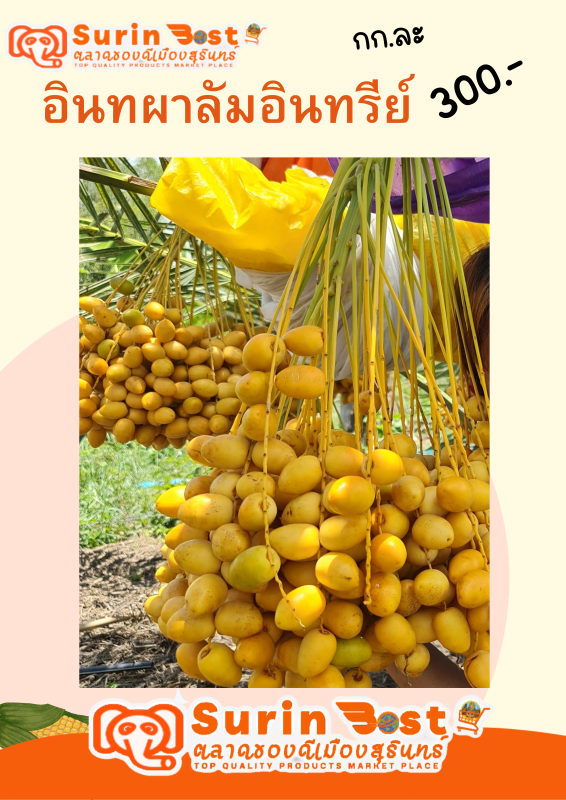 อินทผาลัม