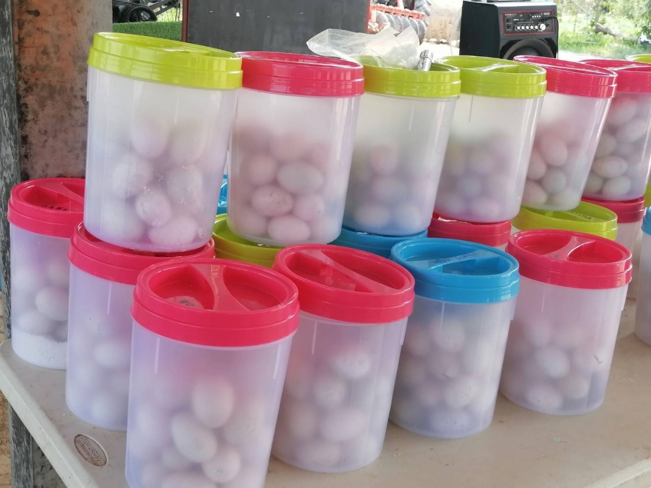 ไข่เค็มสมุนไพร