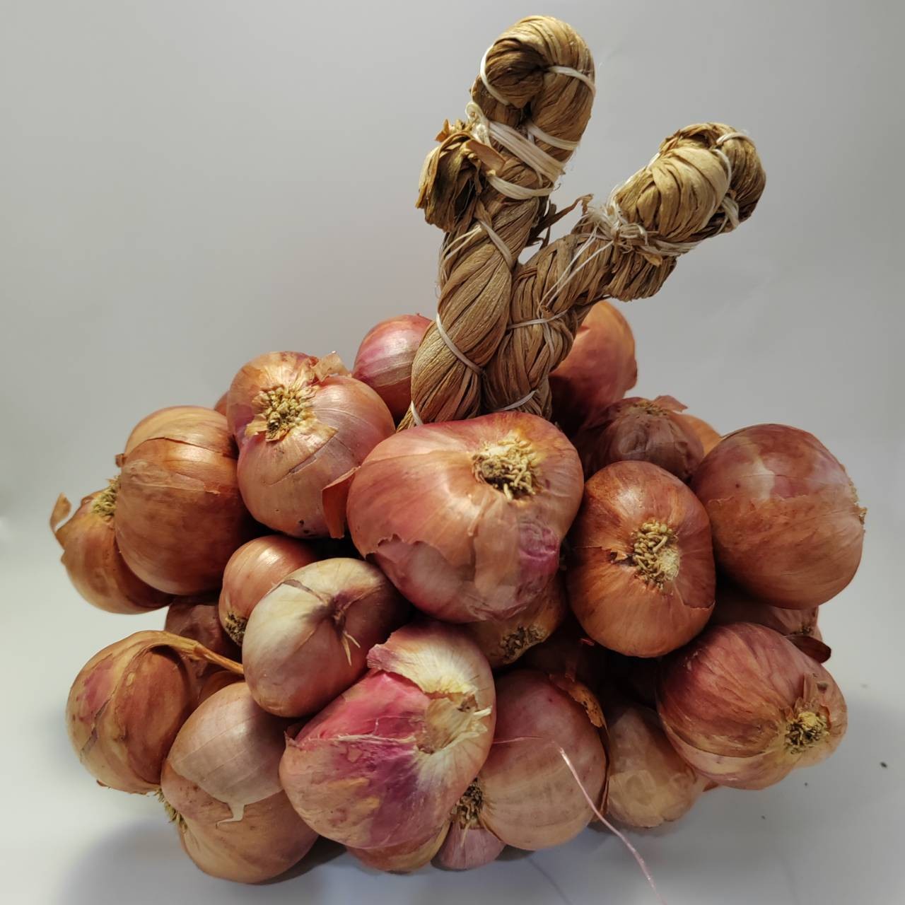 หอมแดงอินทรีย์