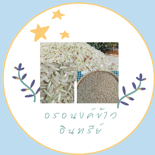 อรอนงค์ข้าวอินทรีย์