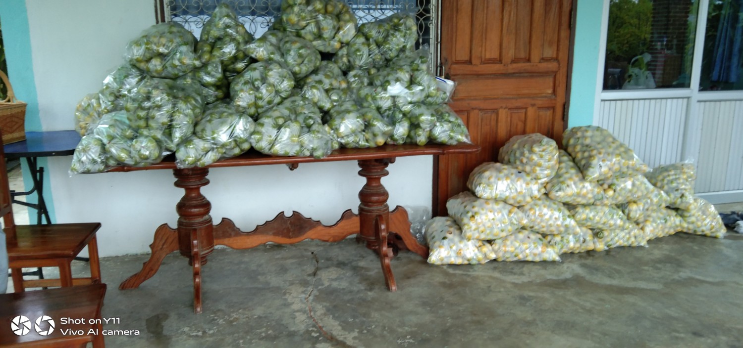 มะนาวพื้นบ้าน