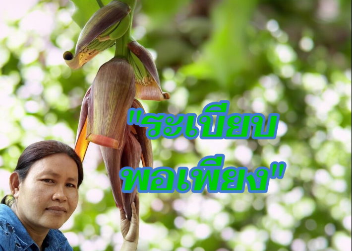 ระเบียบพอเพียง