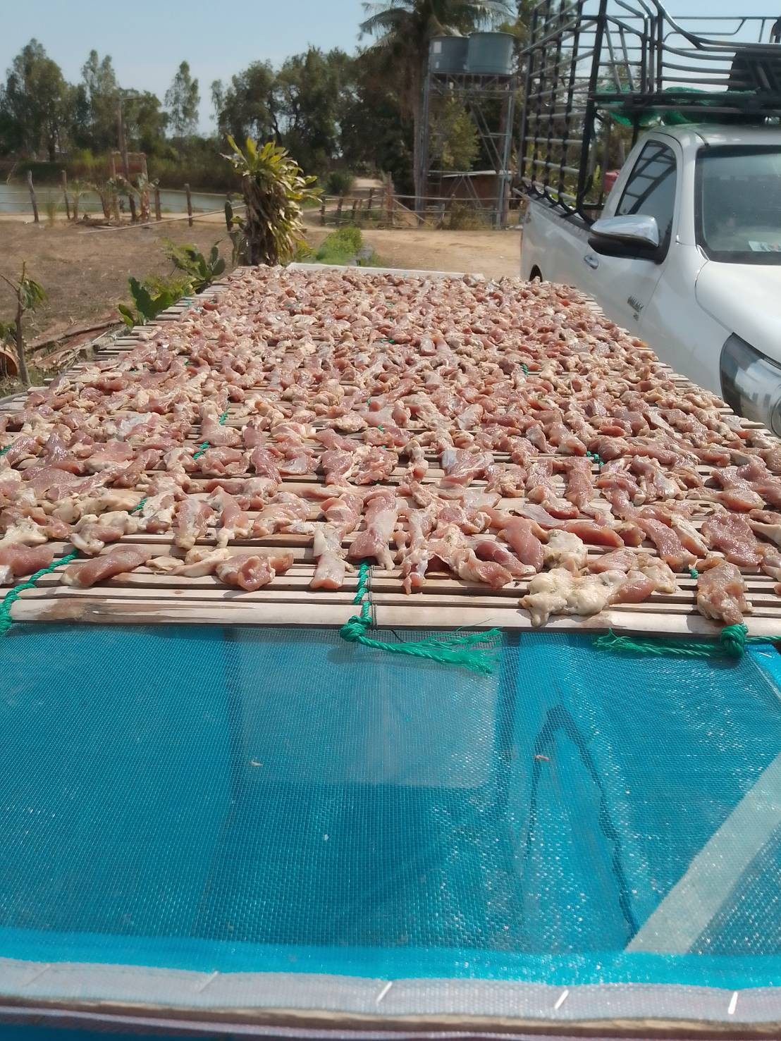 เนื้อวัวโคขุนโนนนารายณ์