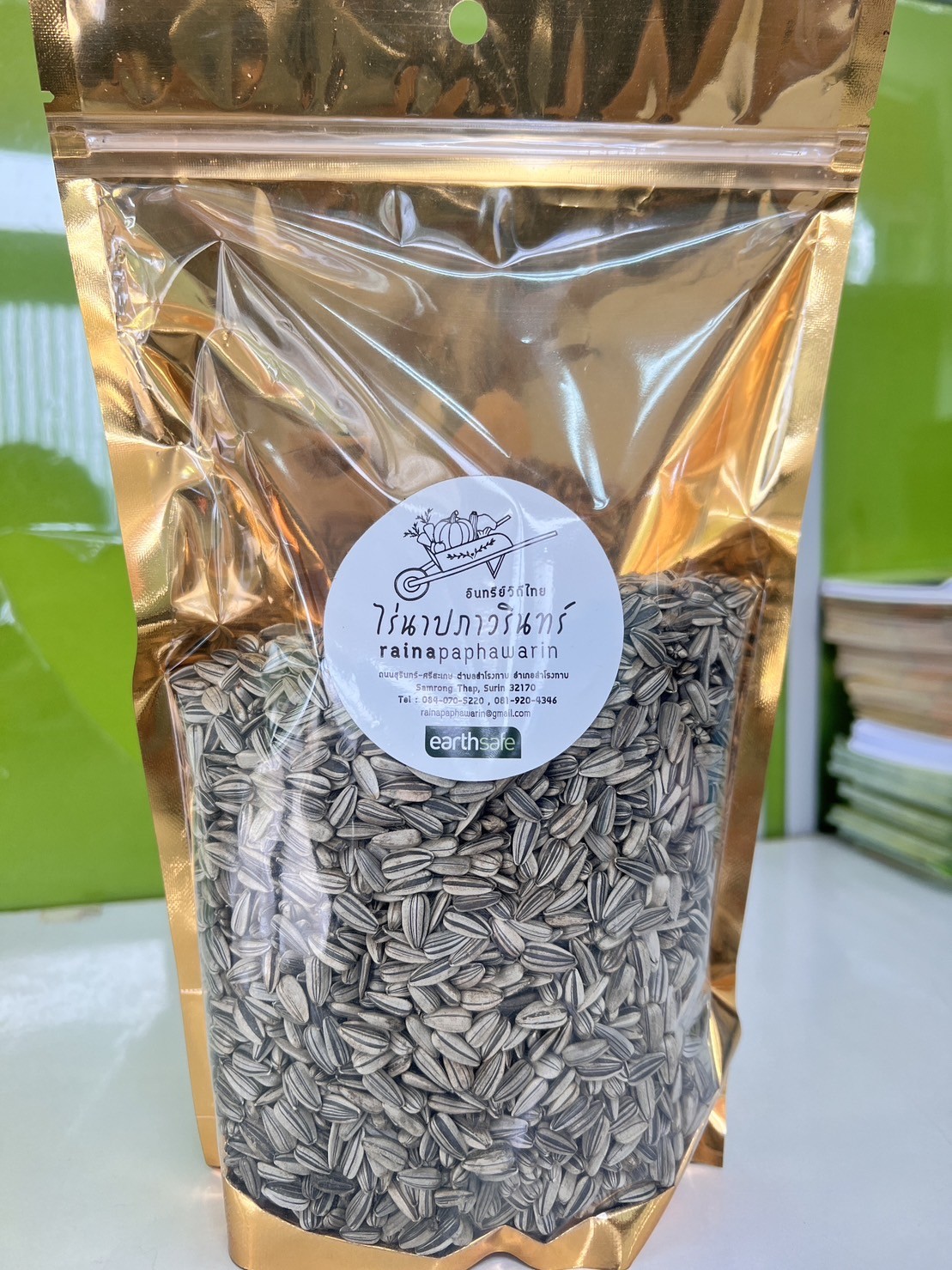 เมล็ดพันธ์ต้นอ่อนทานตะวัน