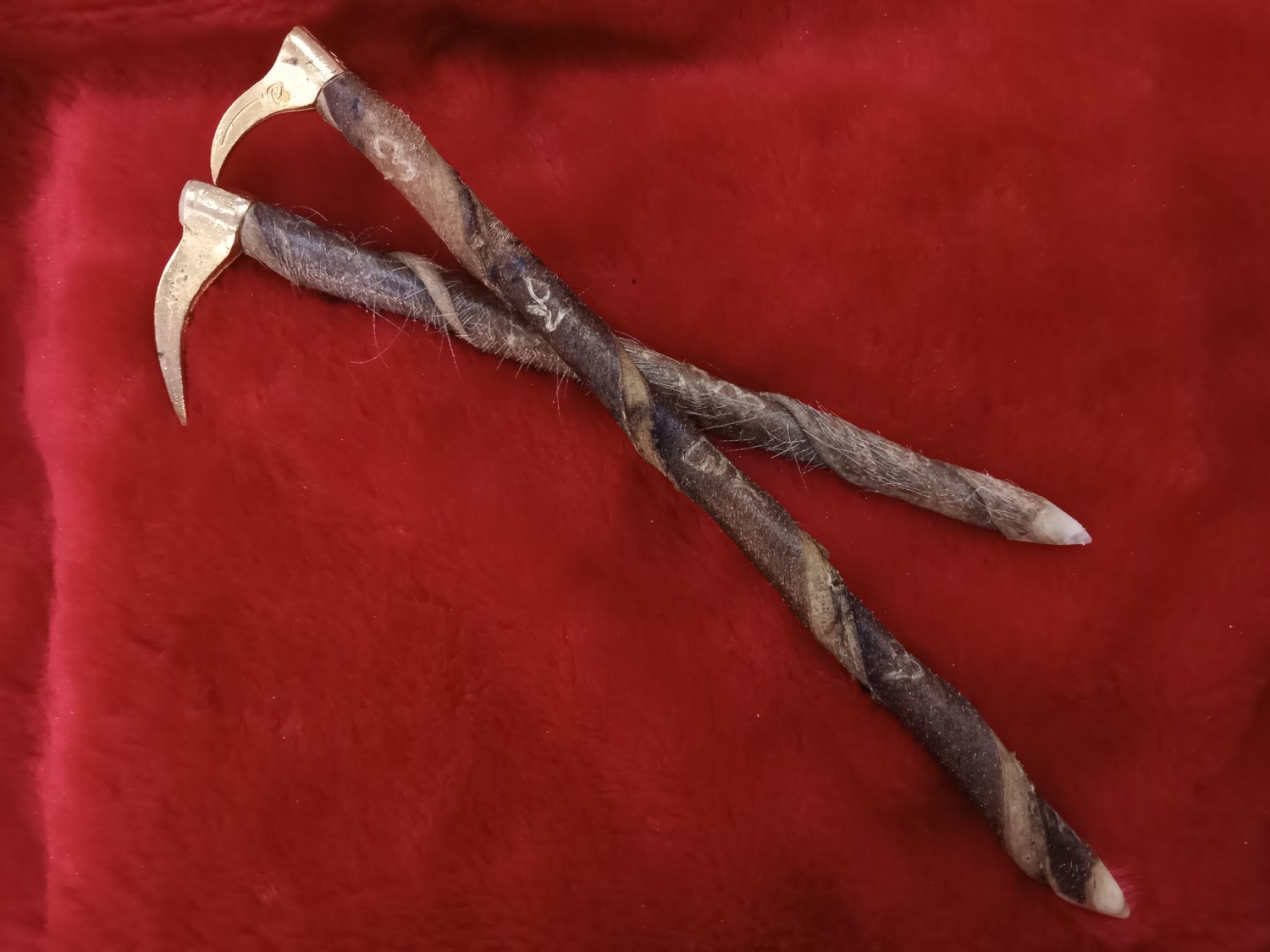 ตขอหนังปะกำช้าง