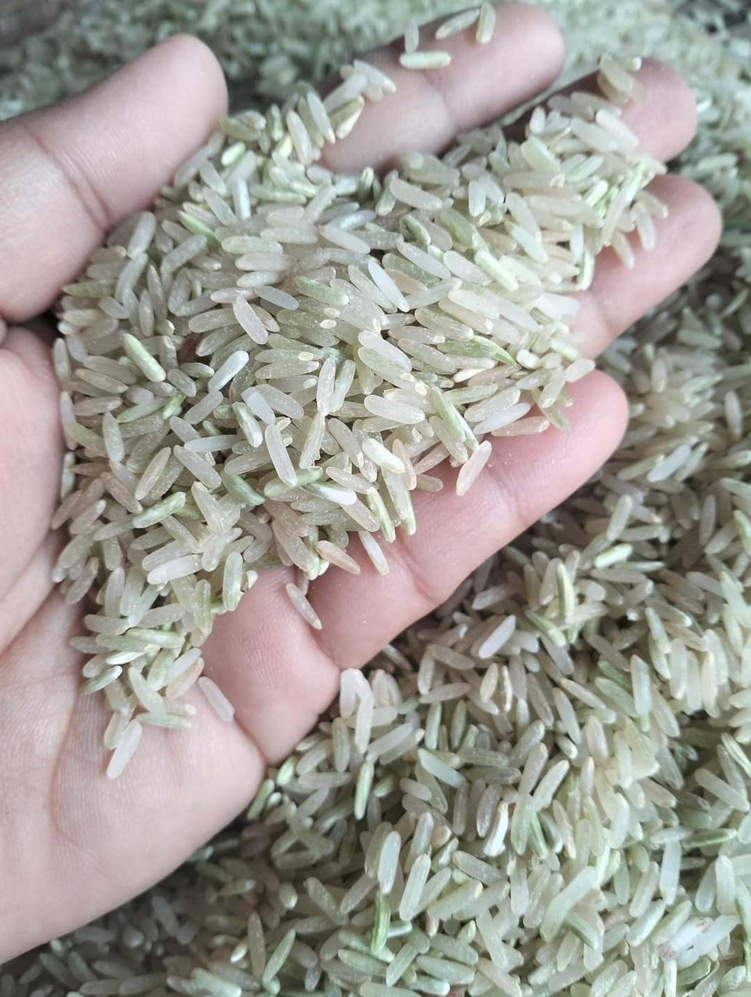 ข้าวปะกาอัมปึล