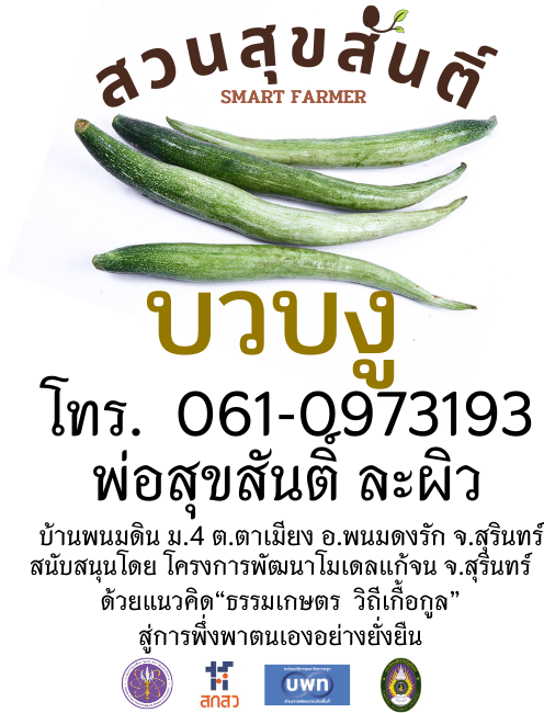 เมล็ดพันธุ์บวบงู