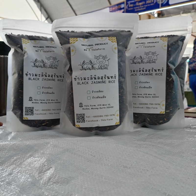 ข้าวมะนิลสุรินทร์