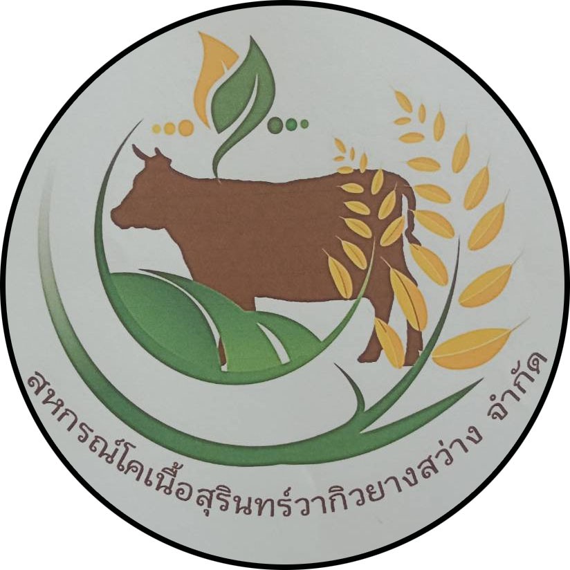 สหกรณ์โคเนื้อสุรินทร์วากิวยางสว่าง