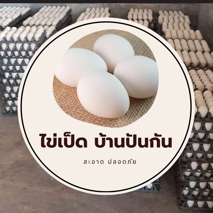 ปันกันฟาร์มเป็ด