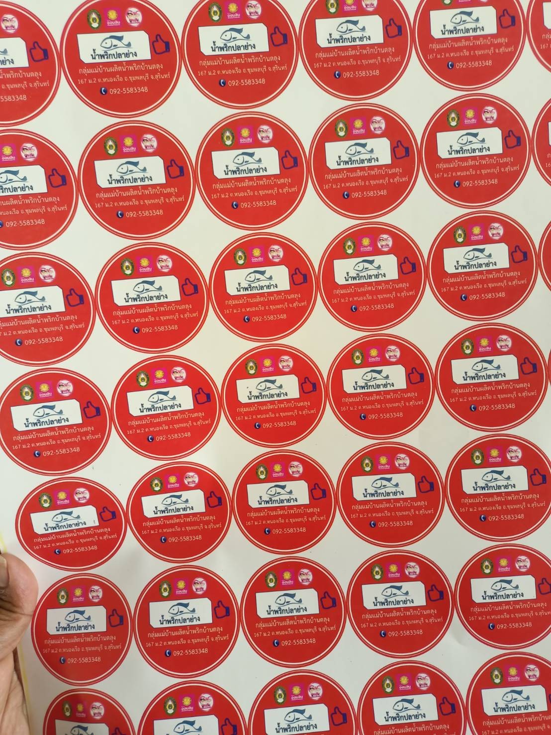 กลุ่มแม่บ้านแปรรูปน้ำพริกและปลาส้มบ้านตลุง