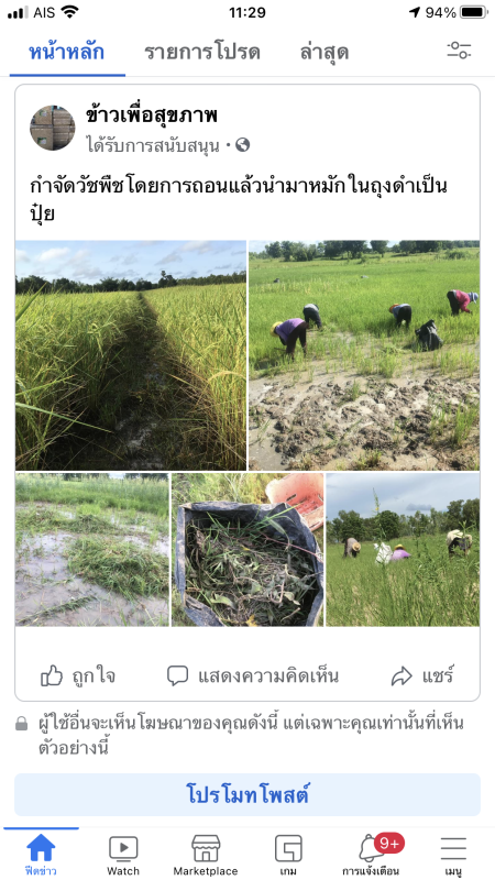 พี่หมูข้าวหอมมะลิอินทรีย์,ผ้าไหม