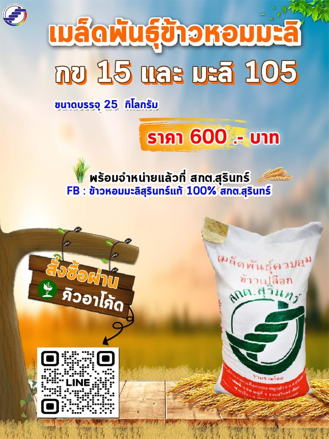 เมล็ดพันธุ์ข้าว ตรา สกต.สุรินทร์