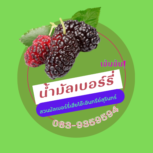 สวนมัลเบอร์รี่เฮียโอ๊ะอินทรีย์สุรินทร์