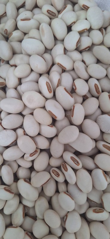 วิสาหกิจชุมชนกลุ่มปลูกพืชหลังฤดูเก้บเกี่ยว ตำบลลำดวน