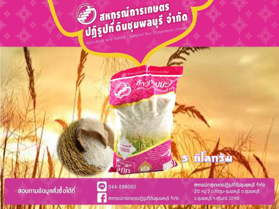 ข้าวหอมมะลิ 5 กิโลกรัม สหกรณ์การเกษตรปฏิรูปที่ดินชุมพลบุรี จำกัด
