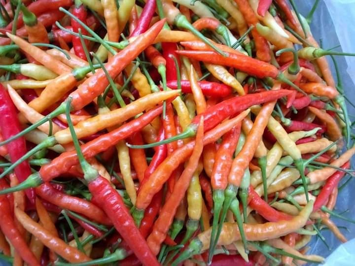 พริกสดประดู่