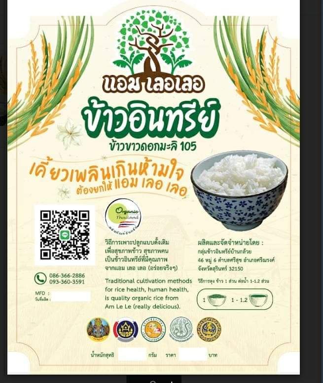 ข้าวสองสี หอมมะลิและหอมมะลินิล สุรินทร์