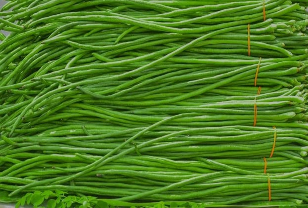 ตุ๊ดตู่ผักสด