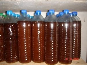 น้ำหมักชีวภาพ ปุ๋ยขี้วัว